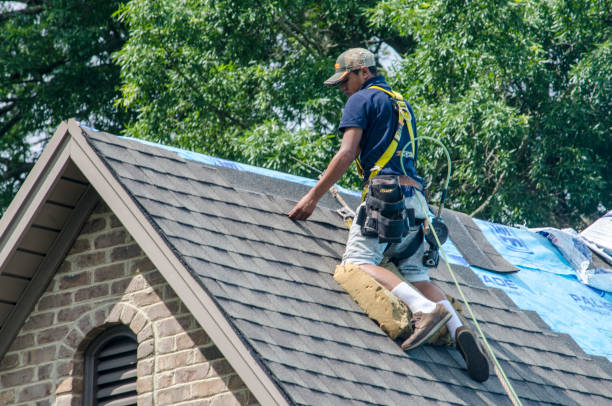 Best Best Roofing Contractors  in Fairmount, TN